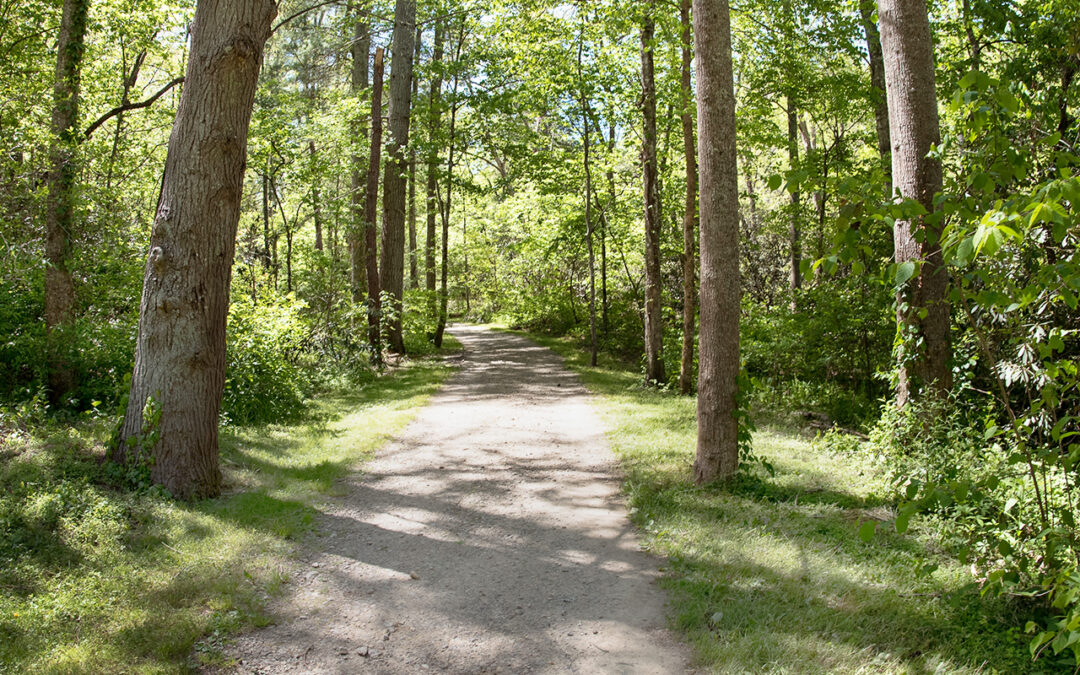 Loving Where You Live: Woodland Walk with Naturalist Scott Dean