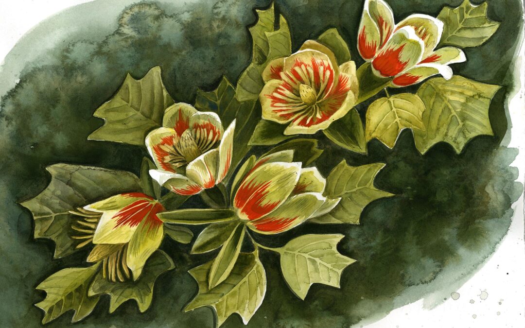 Watercolor for Beginners: Spring Petals