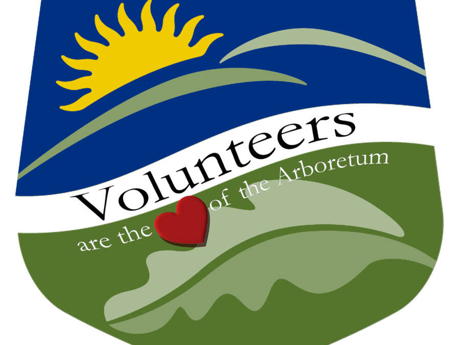 Volunteer Informational Meeting