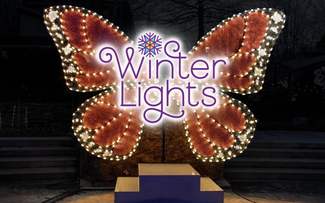 Winter Lights