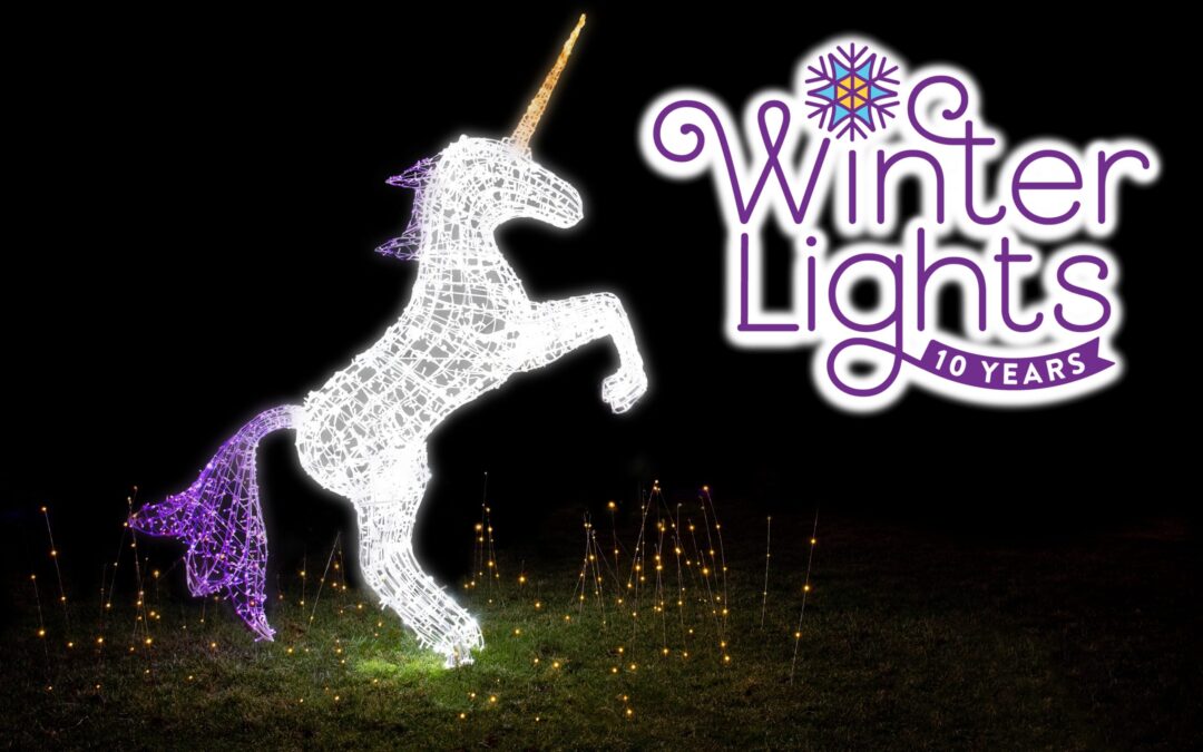 Winter Lights