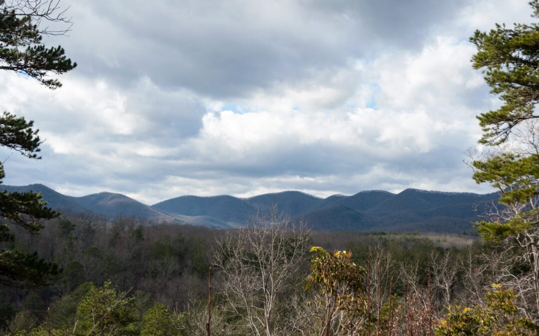 Fishes of the Southern Appalachians