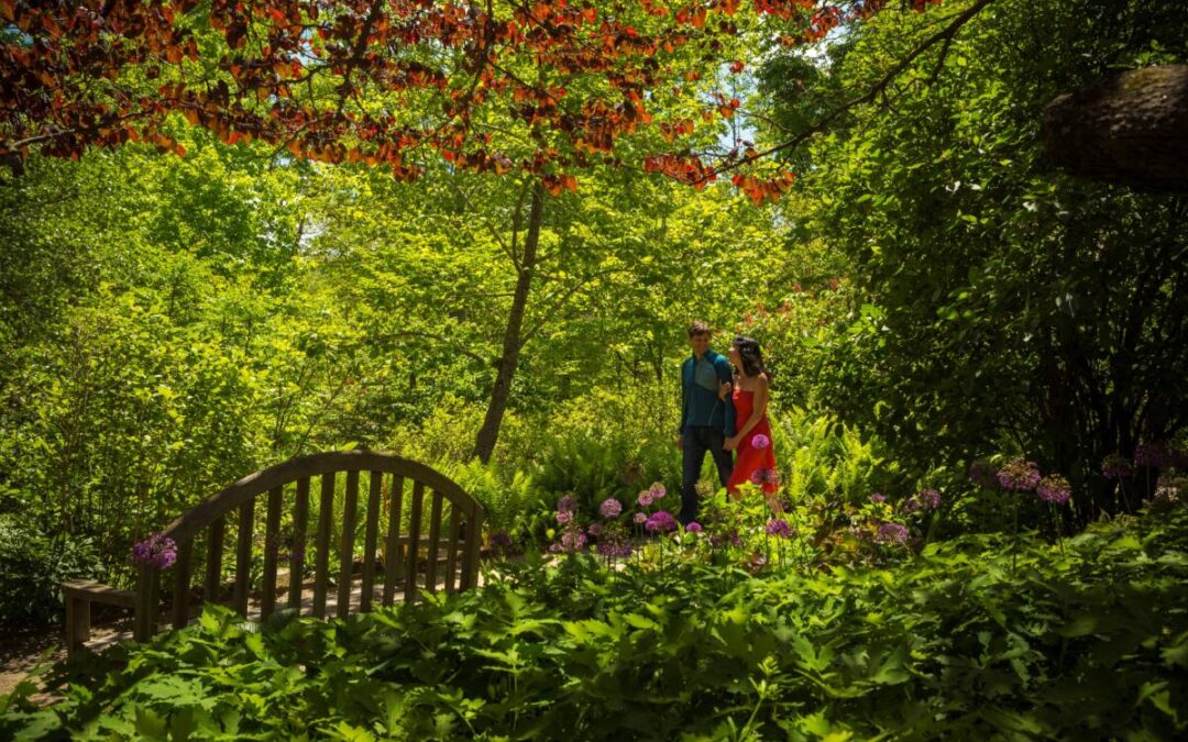 Plants of Promise Garden Grand Re-Opening Celebration