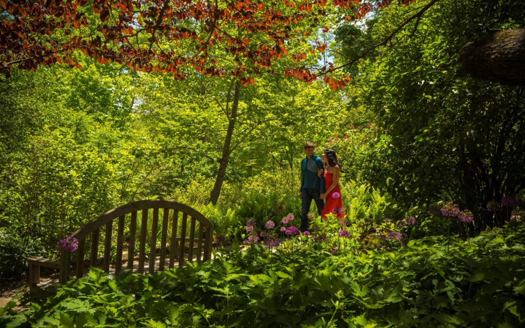 Plants of Promise Garden Grand Re-Opening Celebration