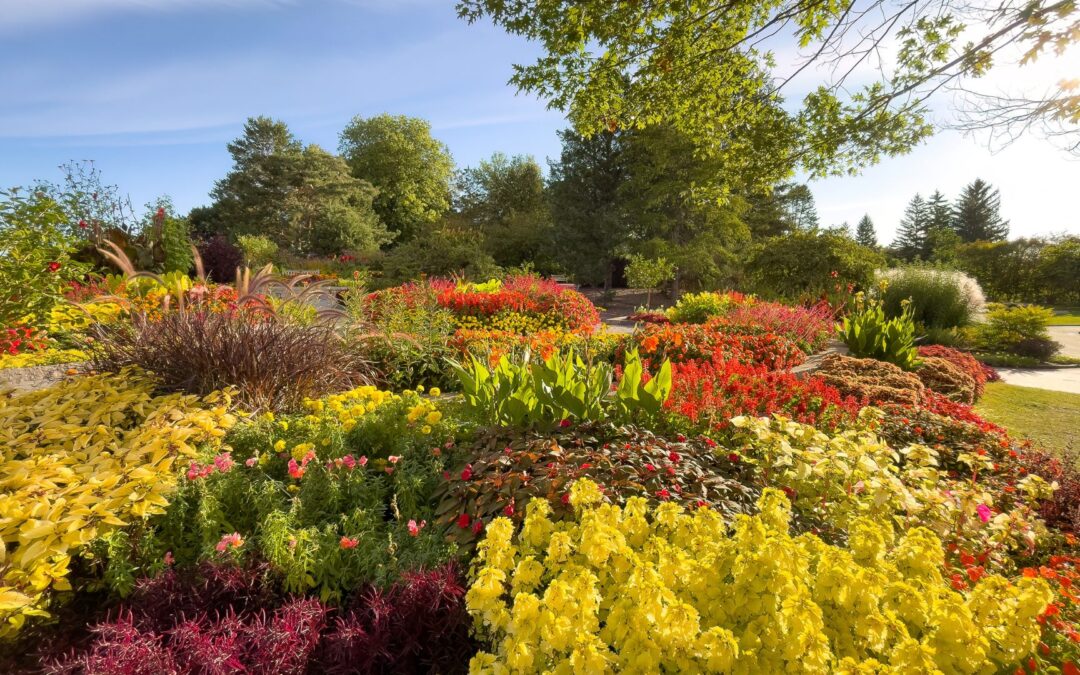 Planting a Four Season Cutting Garden