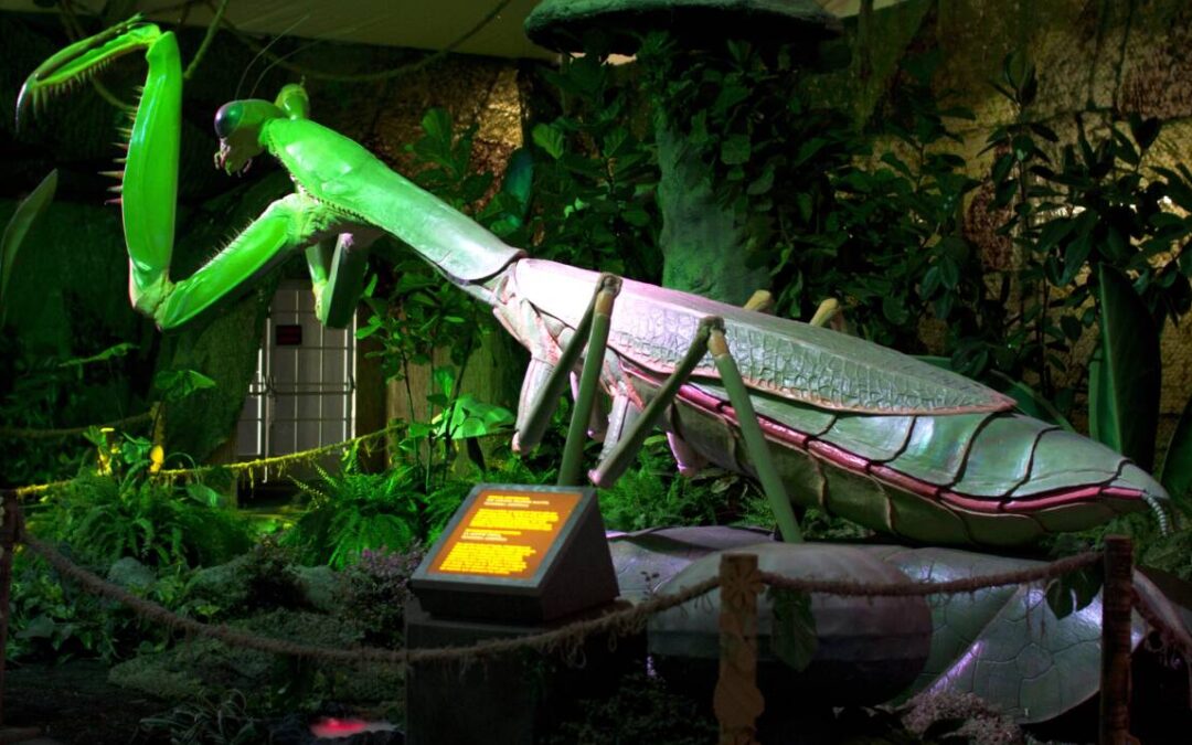 The World of Giant Insects (CLOSED DURING DAY)