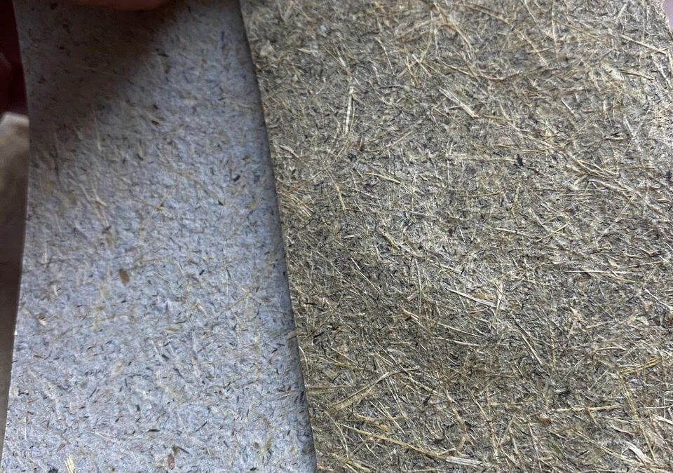 Introduction to Western Papermaking