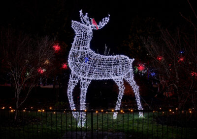 White stag made out of holiday lights