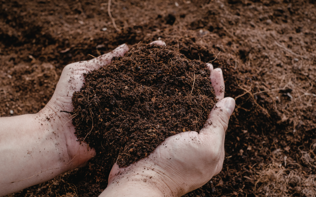 Healthy Soil for Healthy Crops