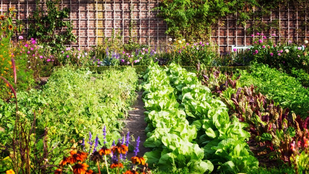 Gardening