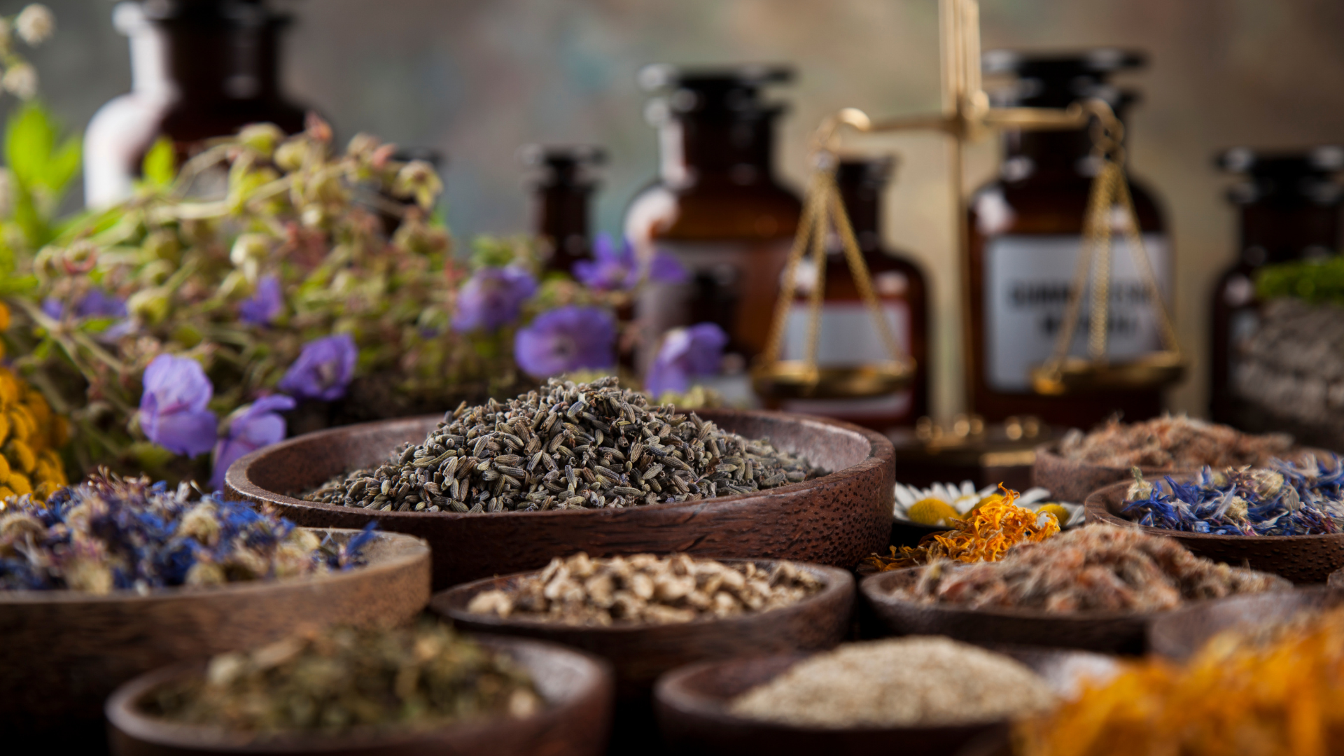 herbs and medicines in thumbnail for class