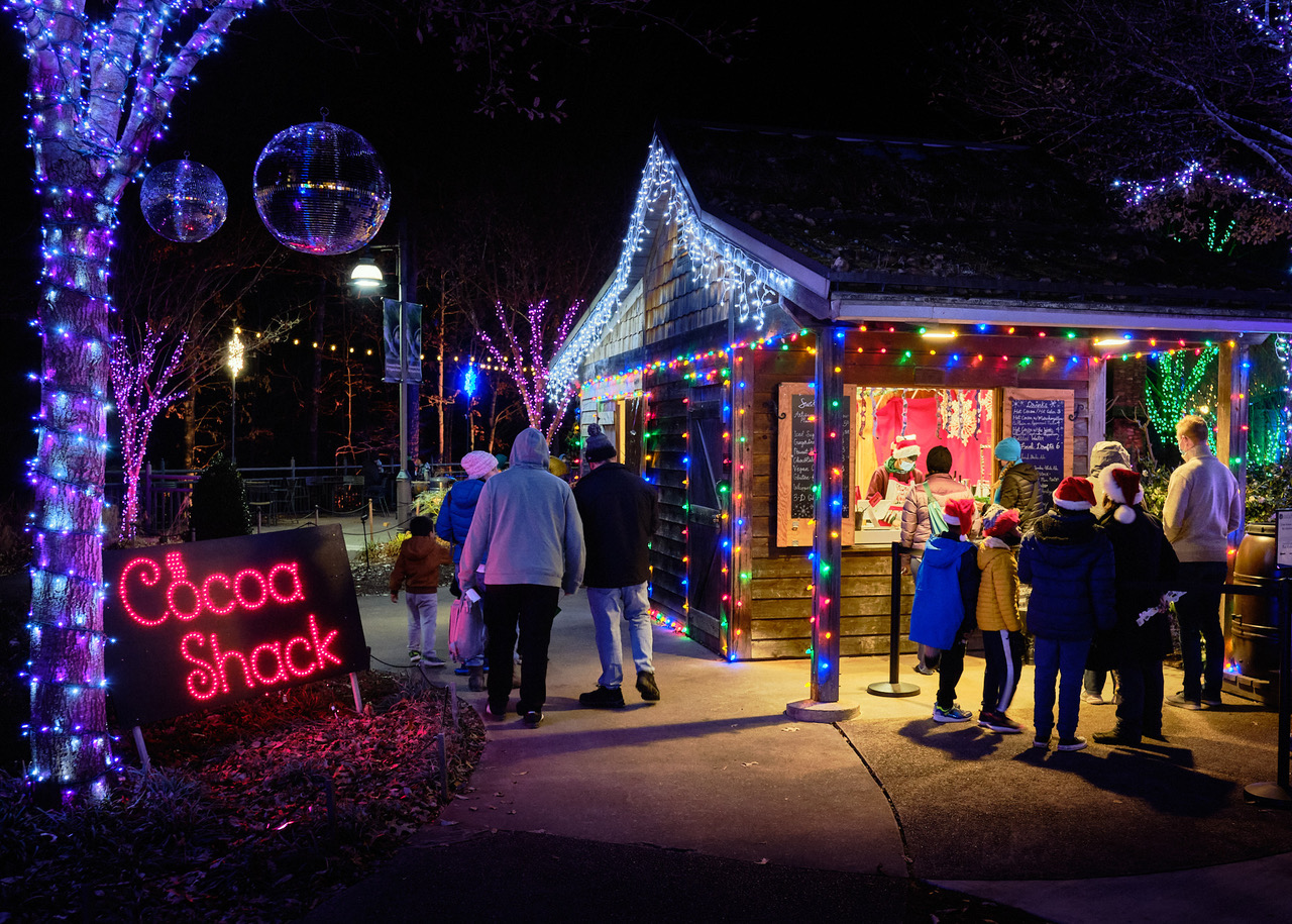 Cocoa Shack decorated with lights