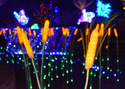 Pond scene made out of holiday lights