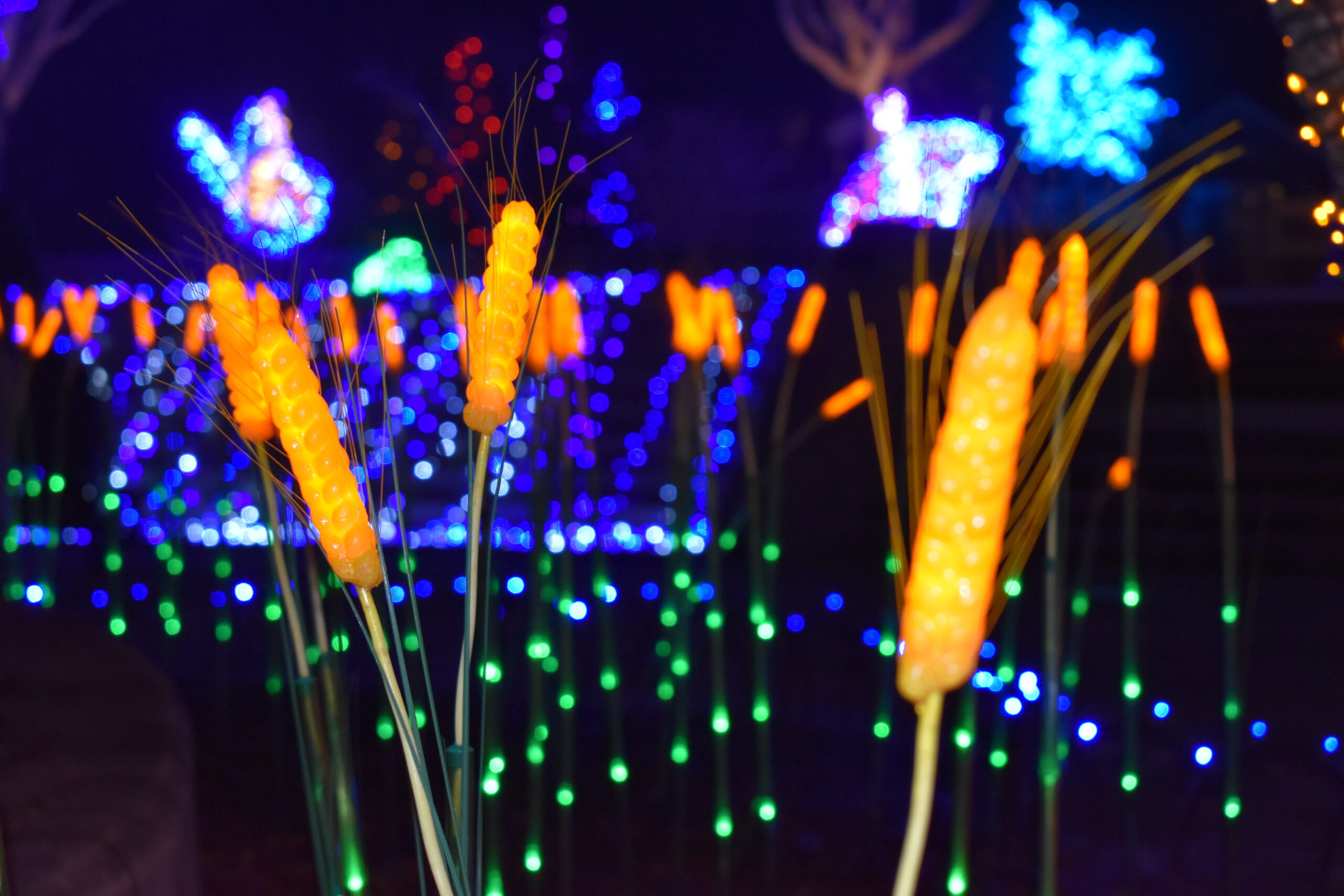 Pond scene made out of holiday lights