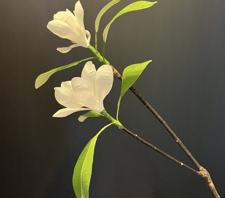 Franklinia Tree Paper Flower Workshop