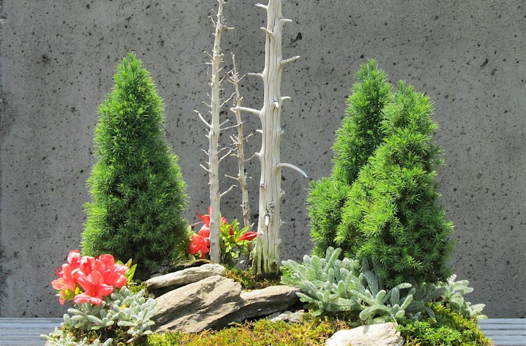 The Art of Bonsai: Cultivating Your Appreciation