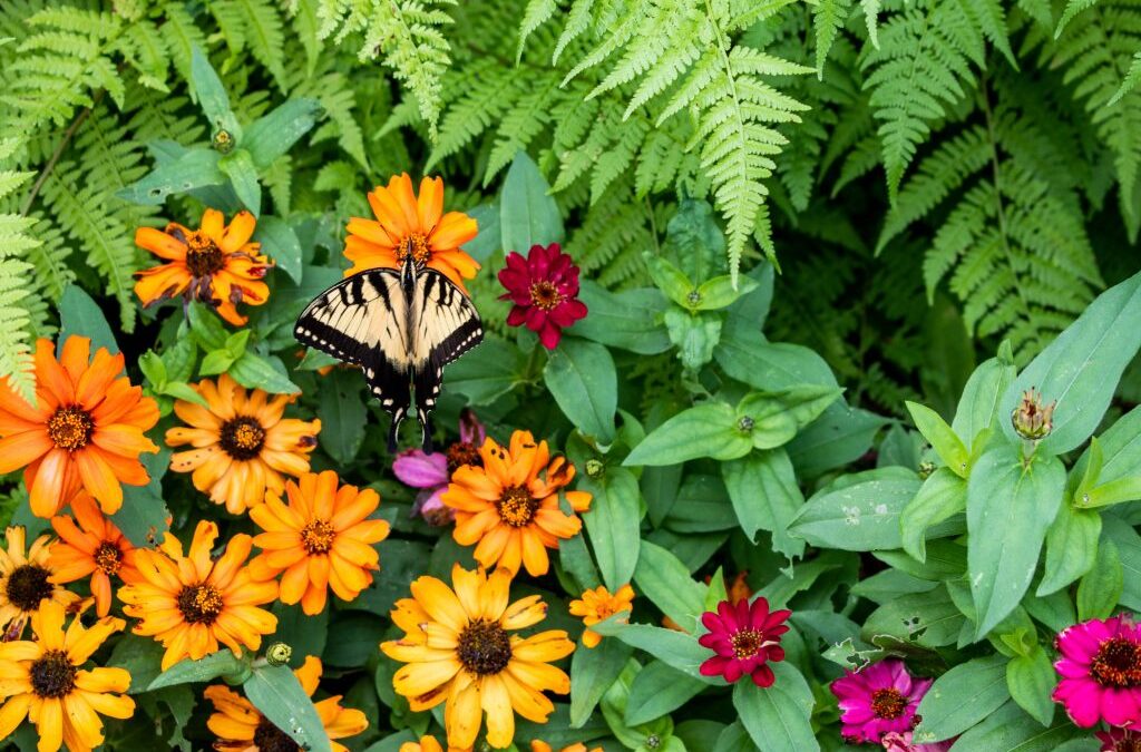 Introduction to Permaculture Design
