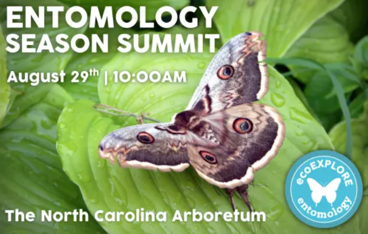 Mountains Region Entomology Season Summit