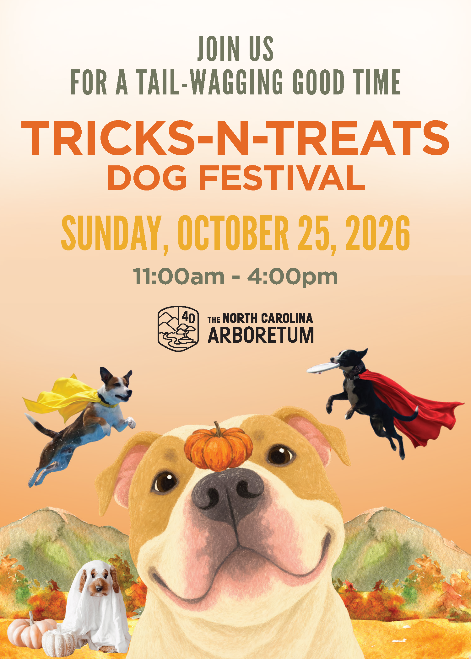 Dog festival poster