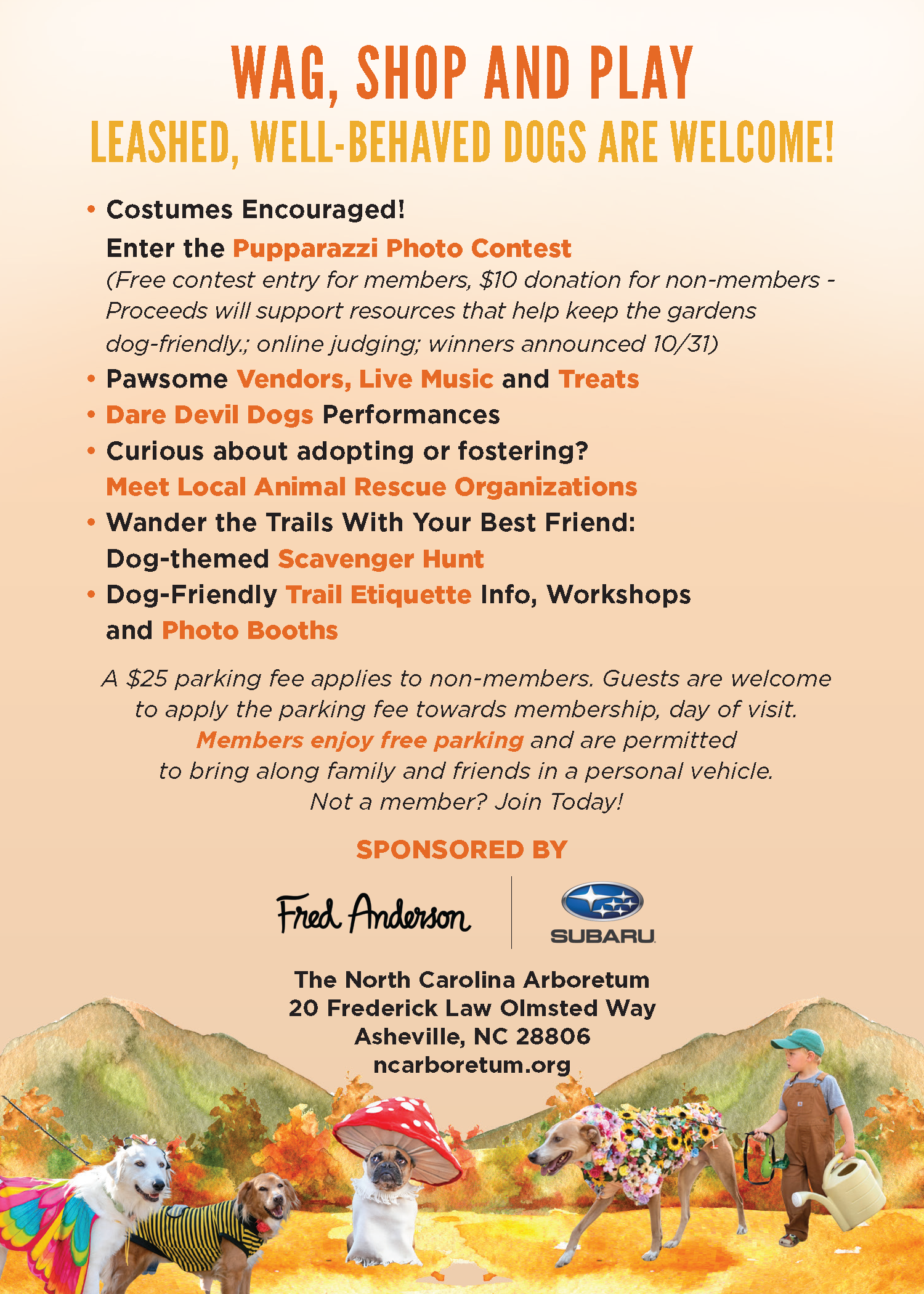 dog festival flier