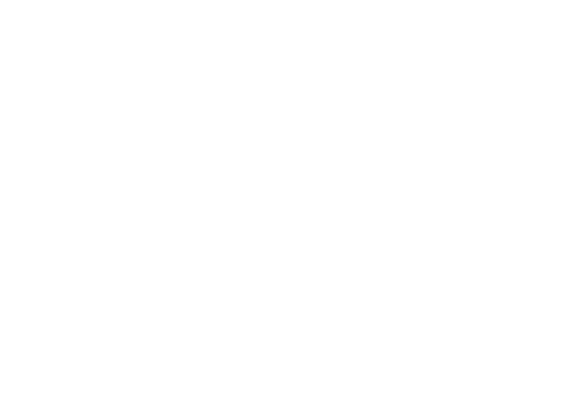 Winter Lights Logo