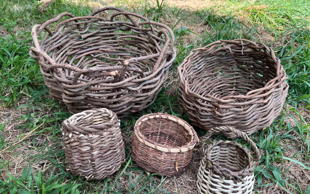 Weave Kudzu Vines Into a Basket