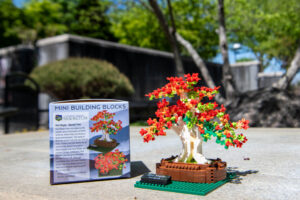 Toy Bonsai tree made out of building blocks sits in Bonsai Garden