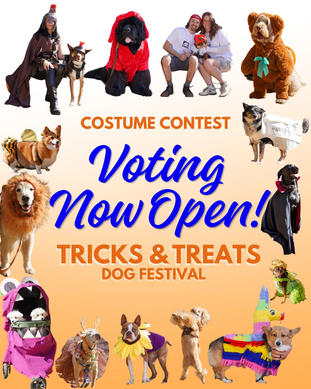Flyer for dog costume contest voting