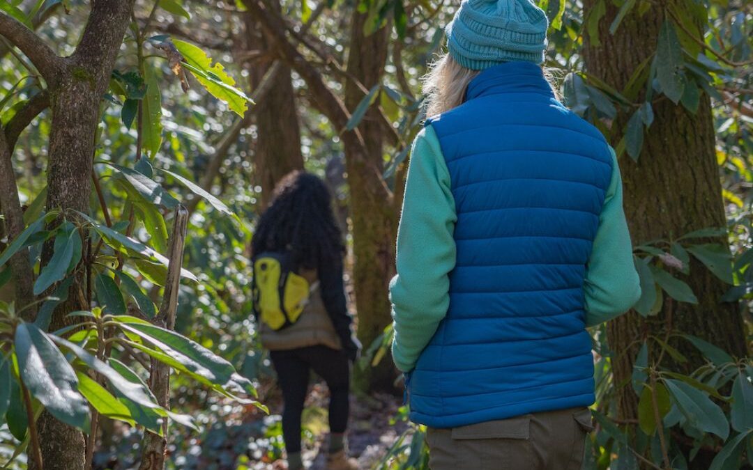 Forest Bathing Retreat: Winter Solstice Wander