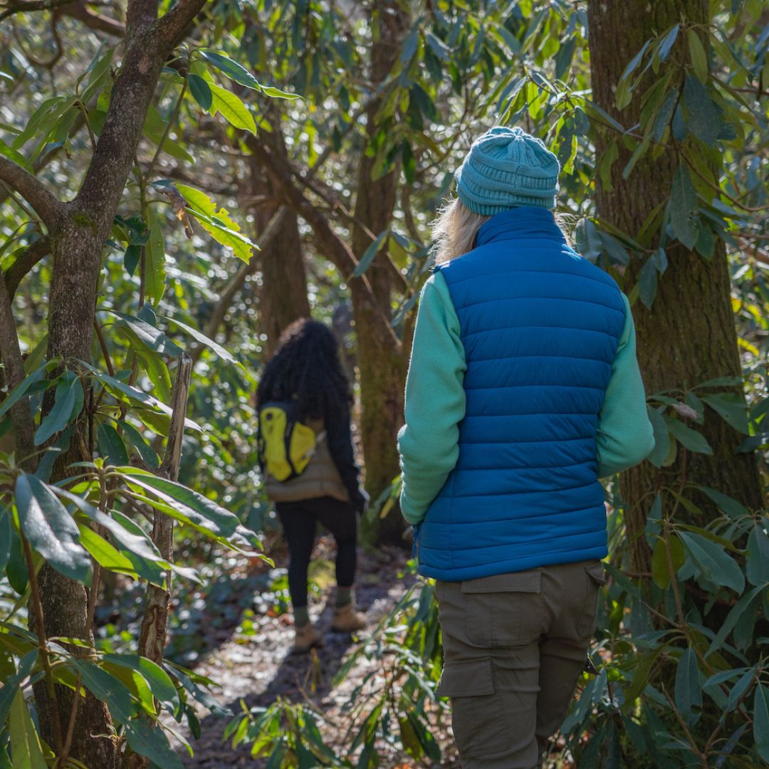 adults in a forest in winter