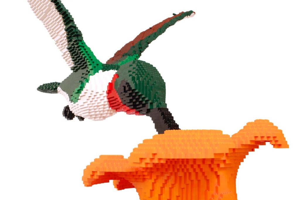 Nature Connects Humming Bird